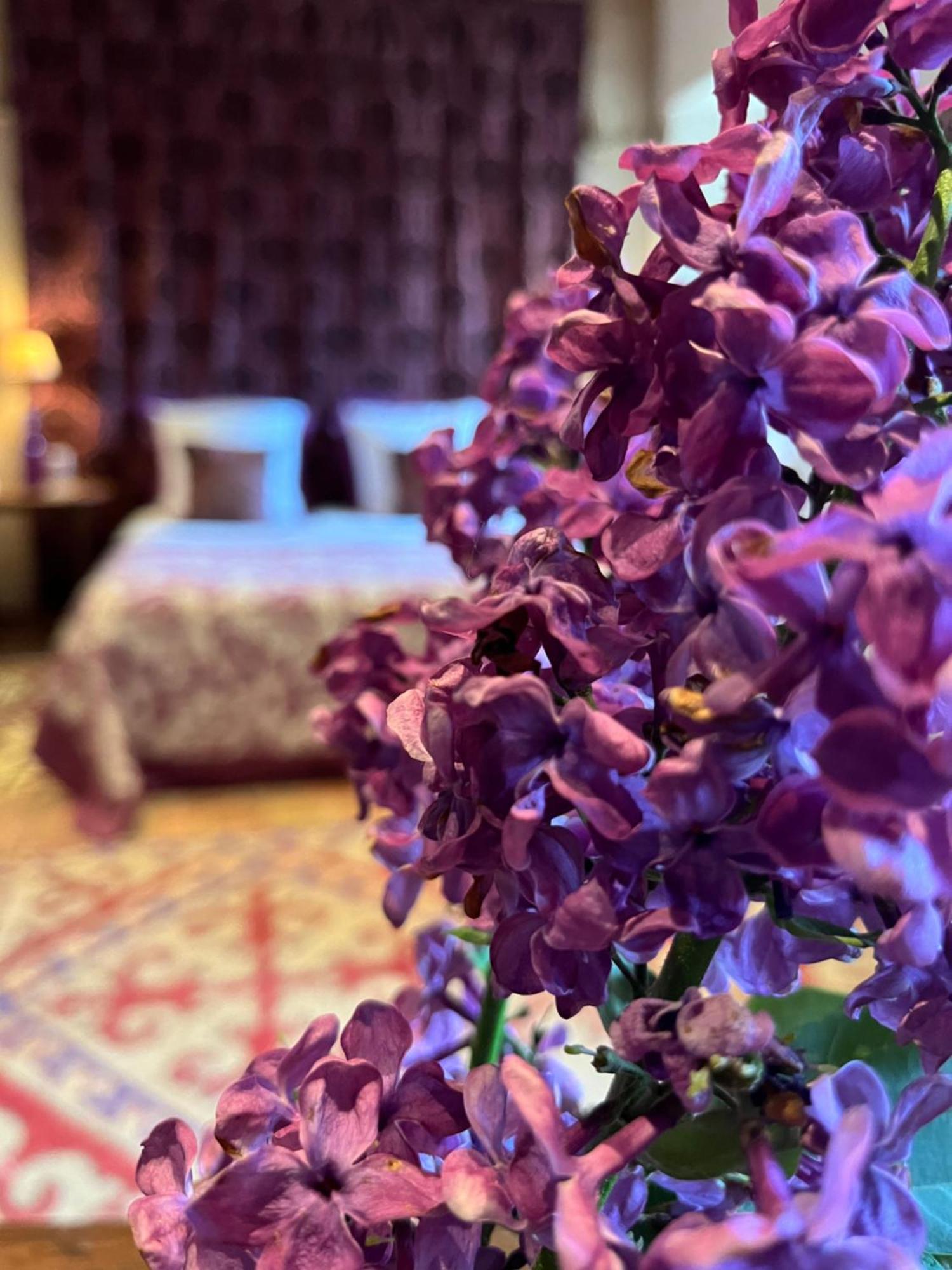 Lemere Hotel Du Chateau Du Rivau מראה חיצוני תמונה